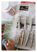 Glittery Clothespins