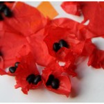 Tissue Paper Poppy